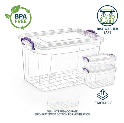 Clear Storage Box with Lock Lid