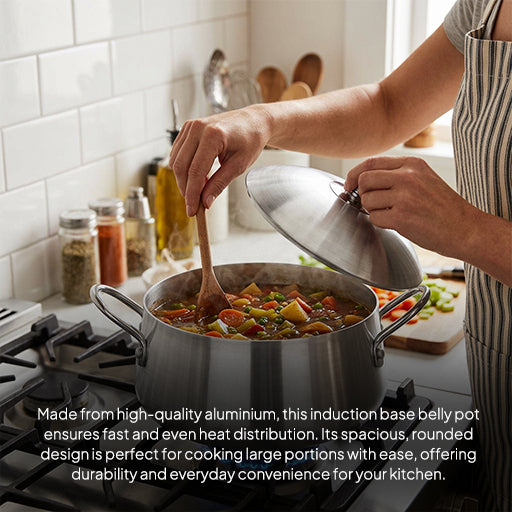 LENAK Belly Induction Casserole Pot Set