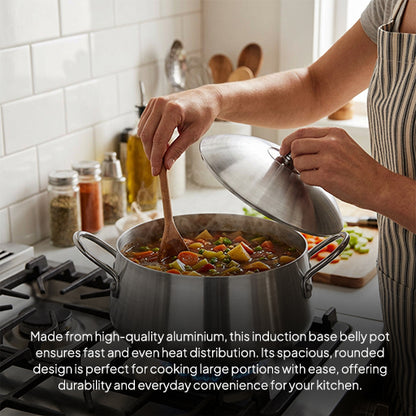 LENAK Belly Induction Casserole Pot Set